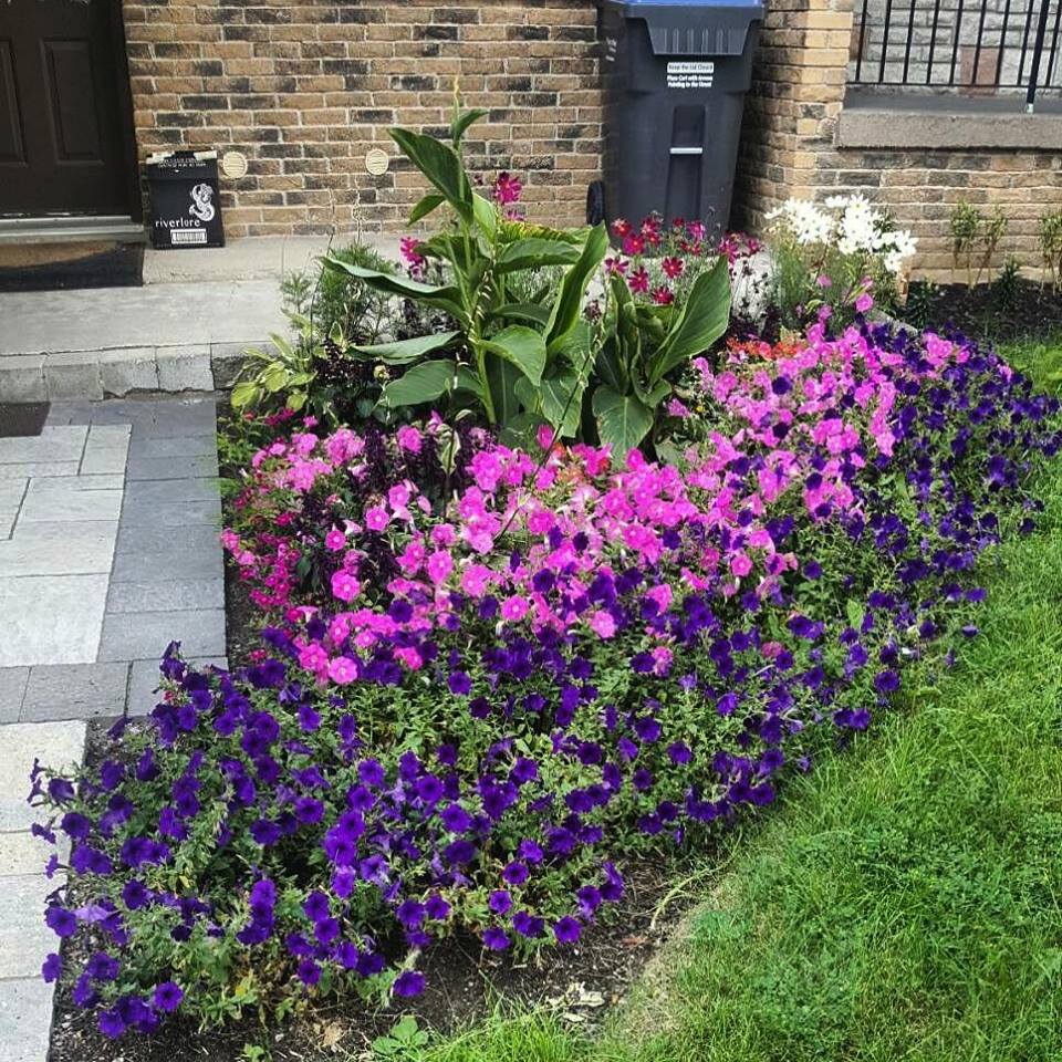 Gardening Services Grand Valley On Free Estimates Garden Clean Up After
