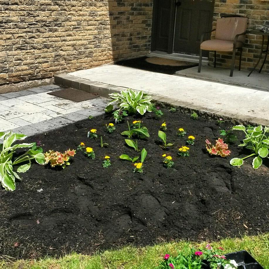 Gardening Services Grand Valley On Free Estimates Garden Clean Up After
