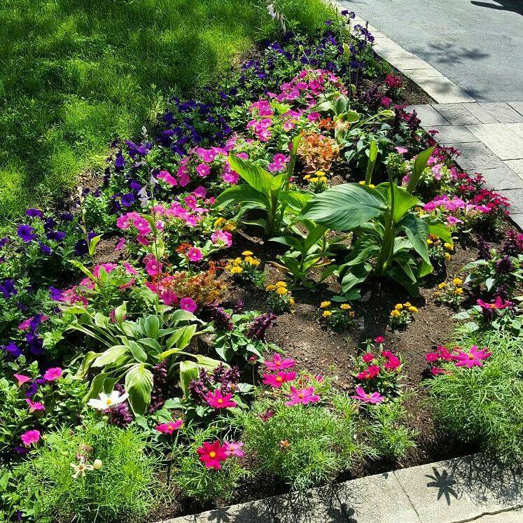 Gardening Services Grand Valley On Free Estimates Garden Clean Up After