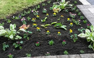 Gardening Services Grand valley, Orangeville and Mississauga.