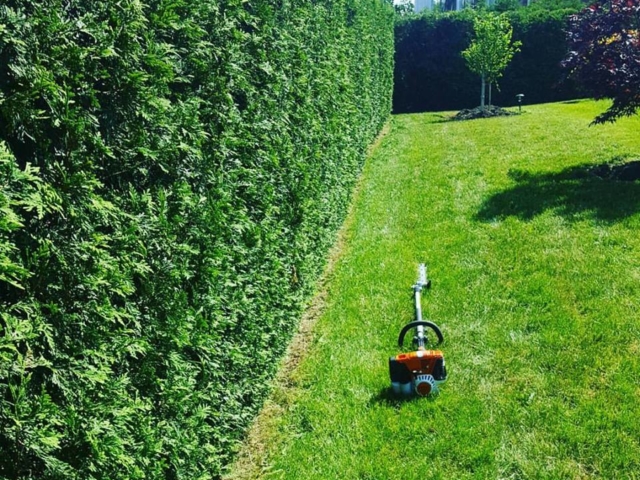 Hedge Trimming Services