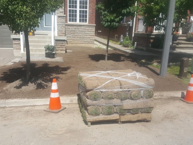 Lawn area prepped and ready for sod installation.