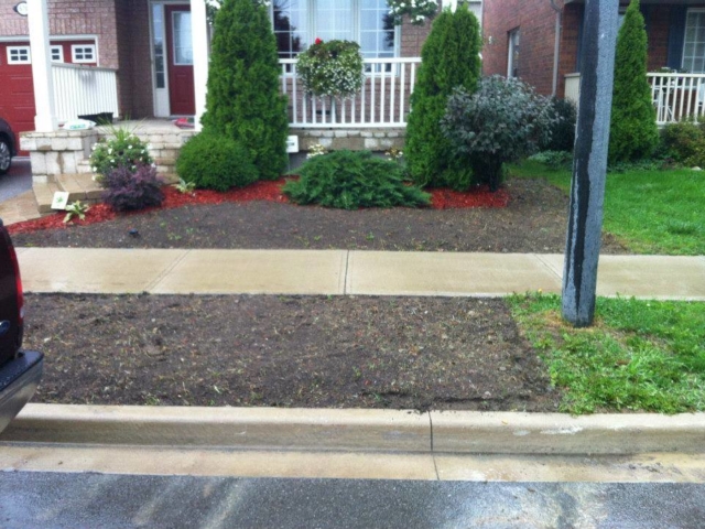 Before Sod Installation