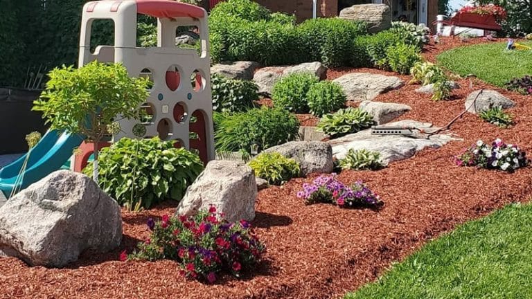 Popular Softscape Landscaping Ideas For Ontario Homeowners
