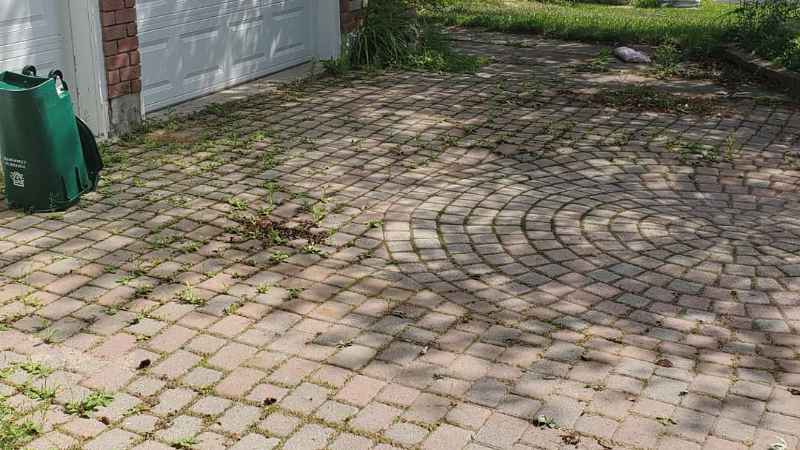 Messy Driveway
