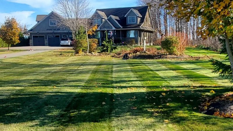 residential and estate lawn maintenance