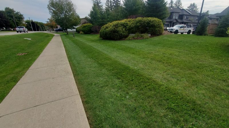 comercial and township lawn maintenance