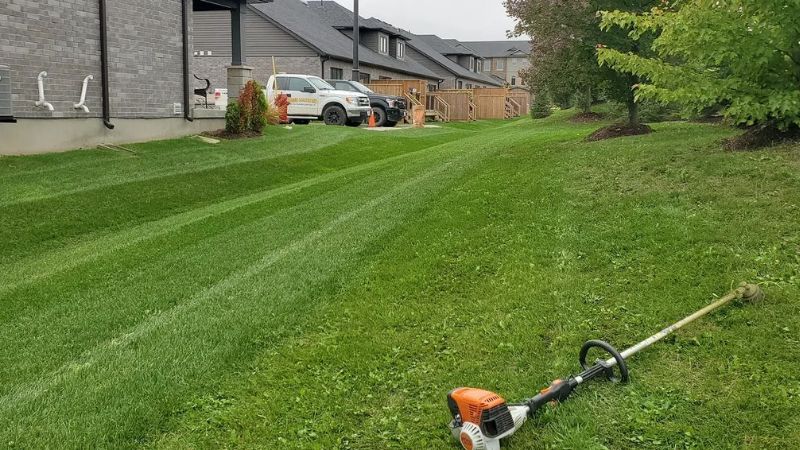 lawn care services