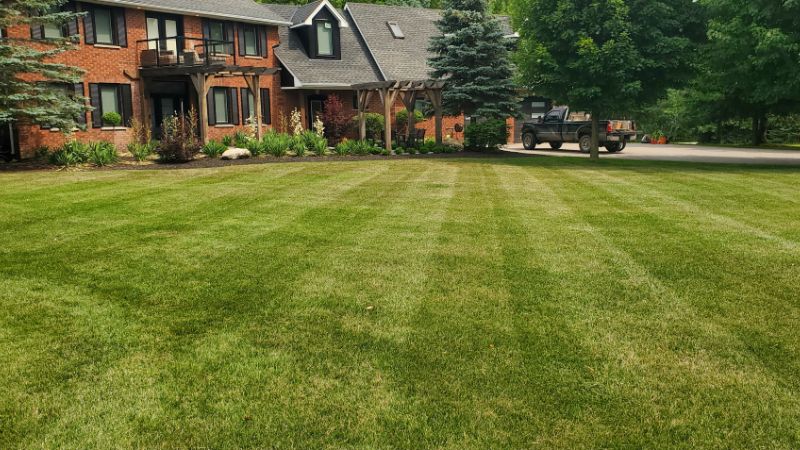 residential lawn care services