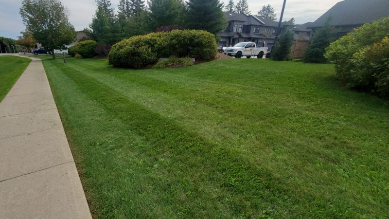 commercial lawn care services