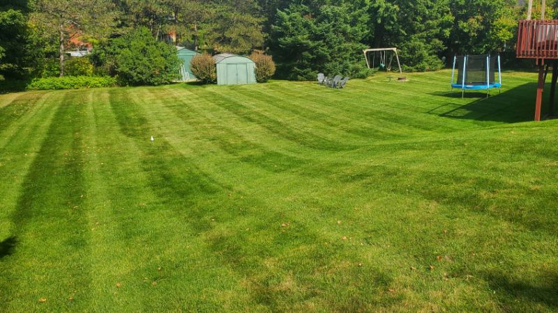 Lawn mowing clearance and landscaping