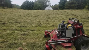 Brush Hogging vs. Mowing: Which Service Does Your Large Property Need?