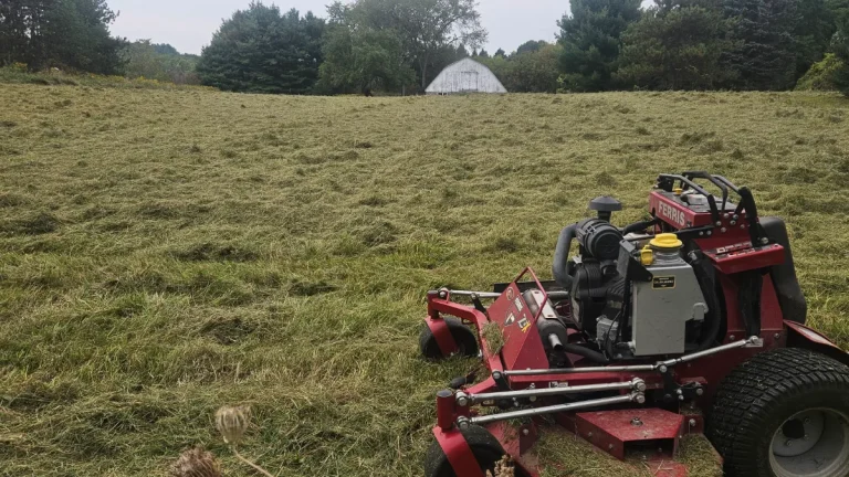 Brush Hogging vs. Mowing: Which Service Does Your Large Property Need?