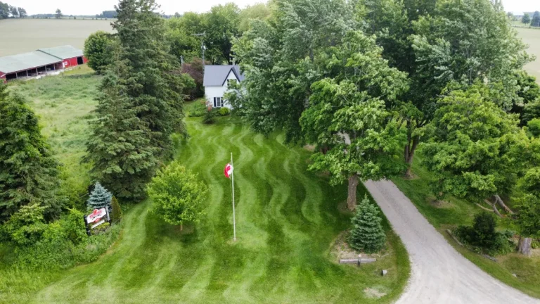 How to Achieve That Perfect Lawn Stripe Pattern (And Why It's Hard to Do Yourself)