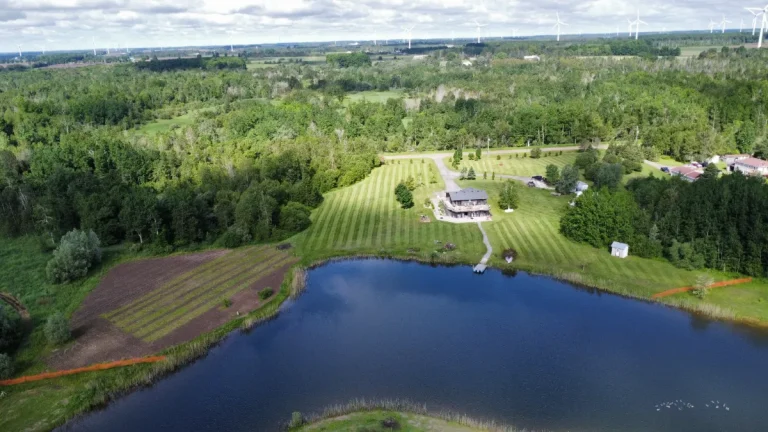 Get Your Weekends Back: Why You Should Let a Pro Handle Your Lawn Maintenance