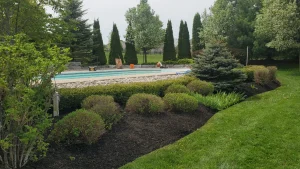 Mulch Enhances Curb Appeal